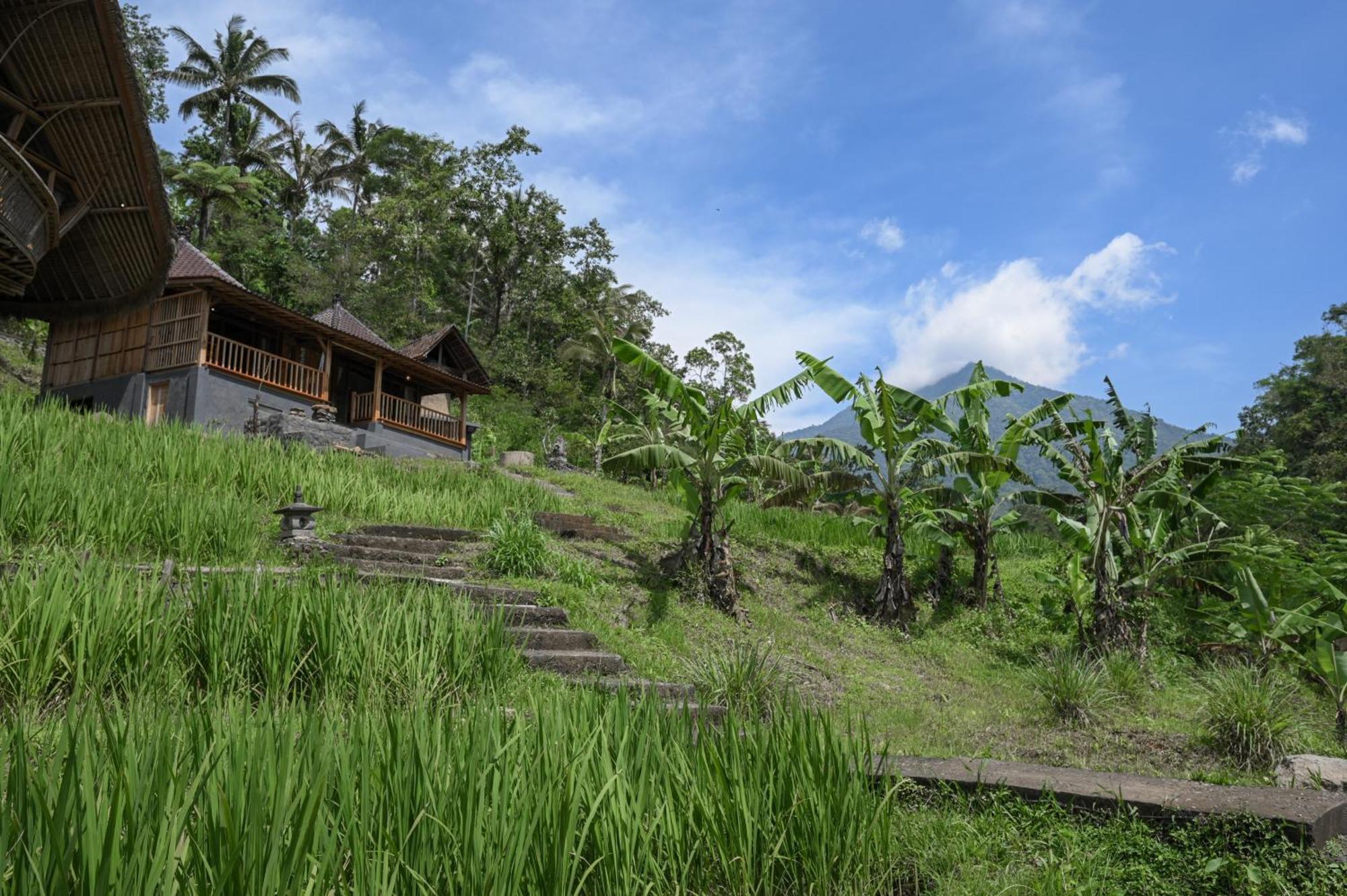 Keuma Villa & Resto Jatiluwih By The Lavana Exterior foto